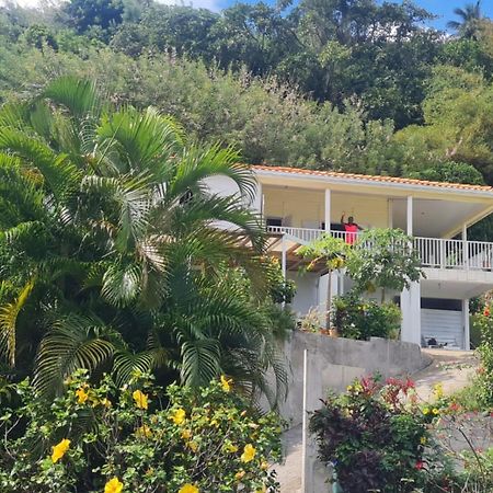 Villa Zephyr Domaine Roses Des Vents Sainte-Marie Exterior foto